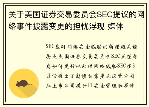 关于美国证券交易委员会SEC提议的网络事件披露变更的担忧浮现 媒体