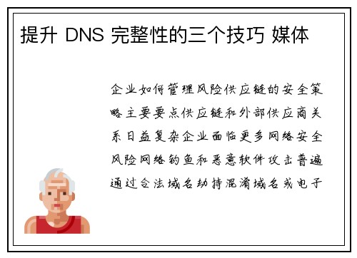 提升 DNS 完整性的三个技巧 媒体